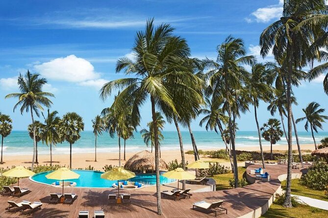 Private Taxi From Sri Lanka Airport (Bia-Cmb) to Arugambay Hotels - Good To Know