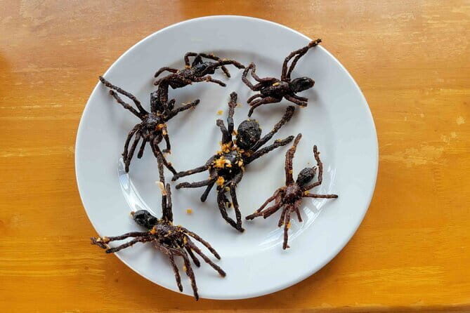 Private Taxi Phnom Penh To Siem Reap Include Floating Villages - Exploring the Stops