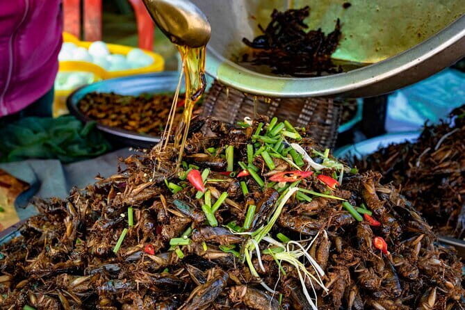 Private Taxi Phnom Penh To Siem Reap Include Floating Villages - Kampong Phluk or Kampong Khleang Floating Village (1 hour)