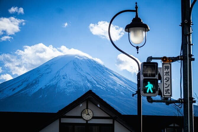 Private Taxi Tour in Tokyo with Government Licensed Guide - FAQ