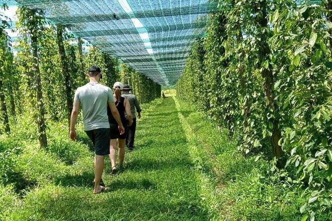 Private Taxi Transfer From Kampot - Phnom Penh City - FAQs