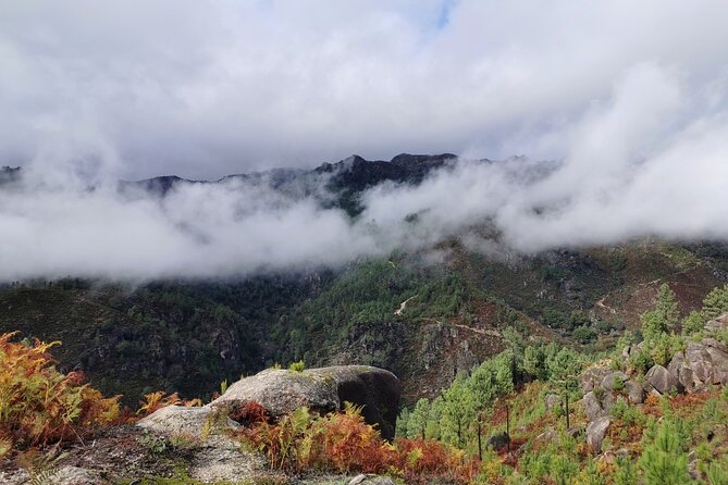 Private & Taylor Made Experience in Gerês National Park - Pickup Locations