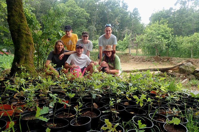 Private & Taylor Made Experience in Gerês National Park - Pricing and Reservations