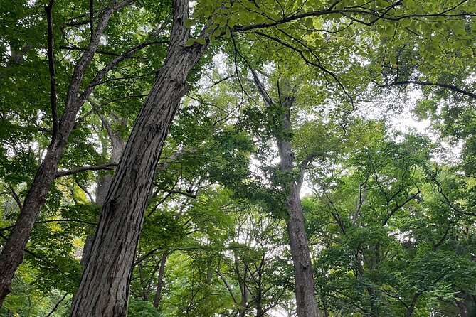 Private Temple Tour With Zazen Meditation - Inclusions