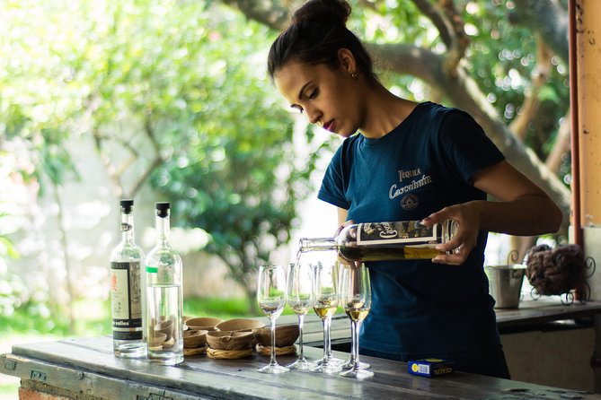 Private Tequila Tour By Mickey Marentes - Tour Highlights