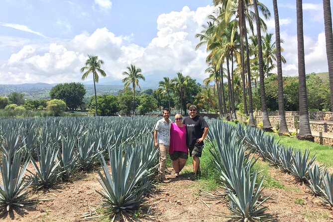 Private Tequila Tour From Guadalajara - Agave Plant Roasting in Stone Ovens