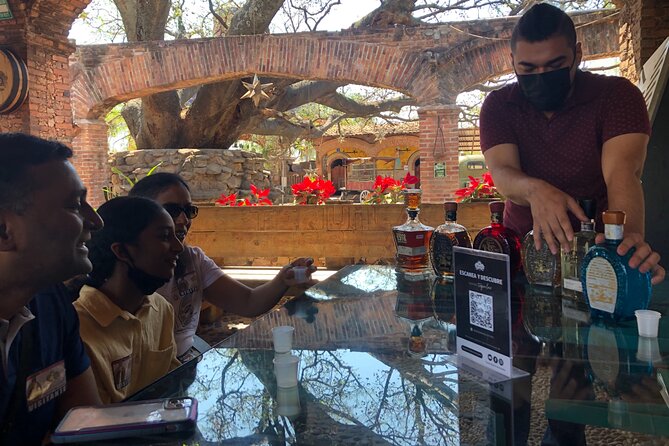 Private Tequila Tour From Guadalajara - The Sum Up