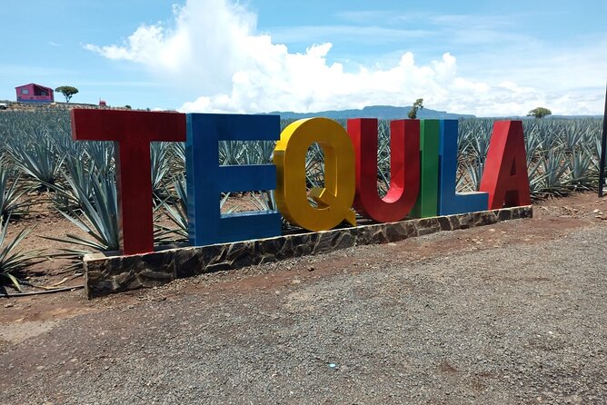 Private Tequila Tour in Guadalajara - Tour Highlights