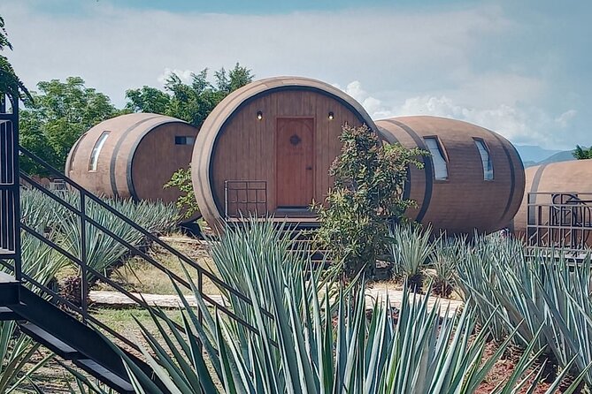 Private Tequila Tour in Guadalajara - Tequila Tasting Experience