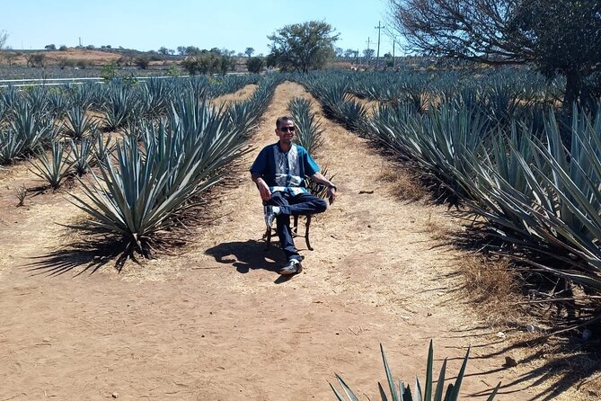 Private Tequila Tour in Guadalajara - Tour Guide and Communication