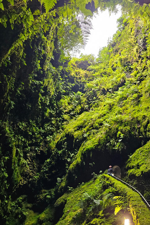 Private Terceira Island Caves: Lava Route - entrances & wine - Who Will Enjoy This Experience?
