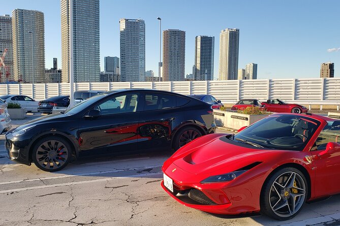 Private Tesla Car Tour of Tokyos Best Sights - Half-Day - Exclusive Tesla Car Experience