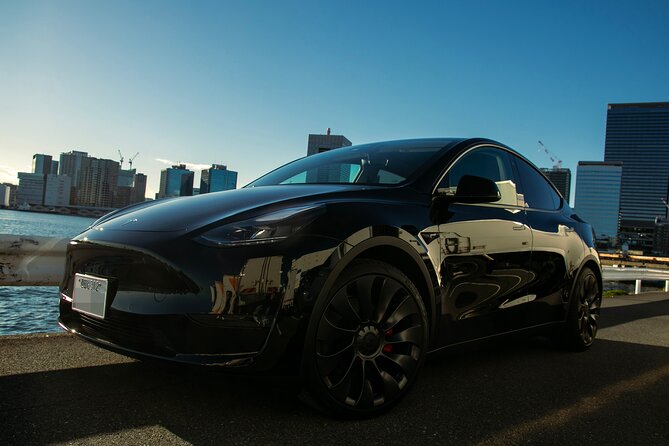 Private Tesla Car Tour of Tokyos Best Sights - Half-Day - Half-Day Tour Itinerary