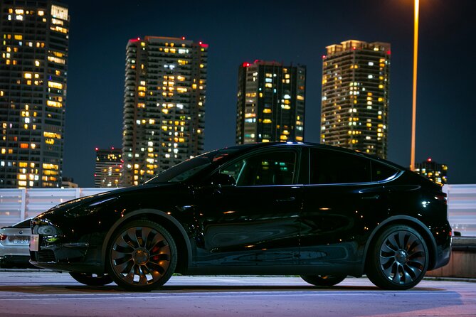 Private Tesla Car Tour of Tokyos Best Sights - Half-Day - Common Questions