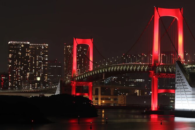 Private Tesla Car Tour of Tokyos Best Sights - Half-Day - The Sum Up