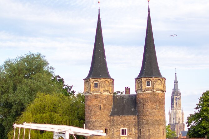Private Tesla Taxi From Delft to Schiphol Amsterdam Airport - Pickup Points and Schedule