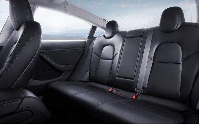 Private Tesla Transfer: Auckland, Tauranga, Rotorua, Taupo - The Experience: What to Expect from Your Tesla Transfer