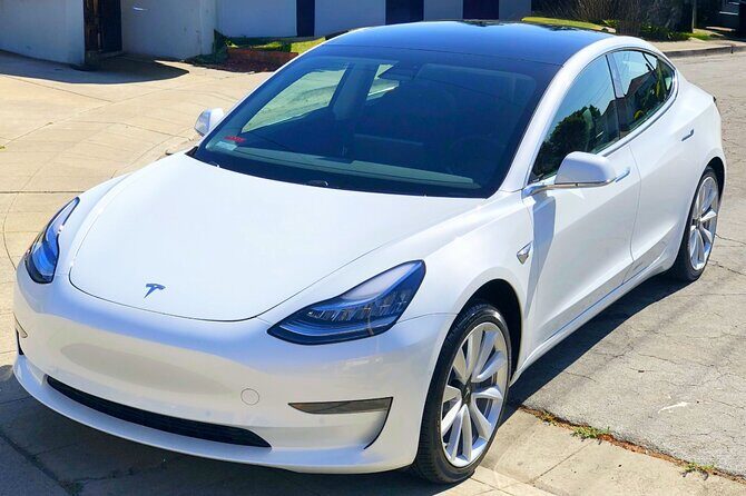 Private Tesla Transfer: Auckland, Tauranga, Rotorua, Taupo - Authentic Insights from Recent Travelers
