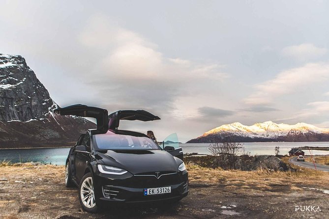 Private Tesla X Fjord Sightseeing - Overview and Tour Details