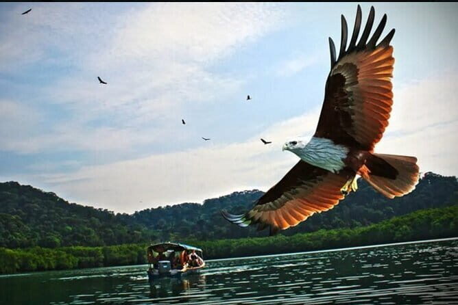 Private Tg Rhu Mangrove Forest Boat Tour With Lunch on A Floating Restaurant - Good To Know