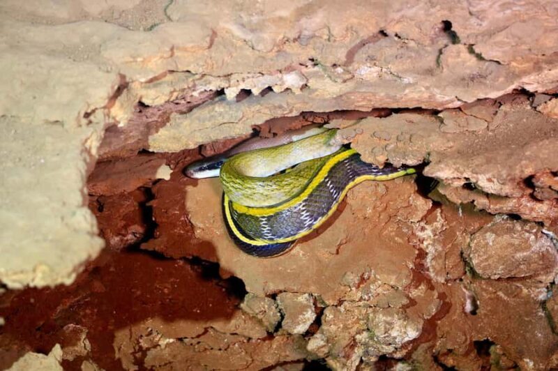 Private Tham Lod: 2D Cave and Trekking Experience from Pai - Final Thoughts