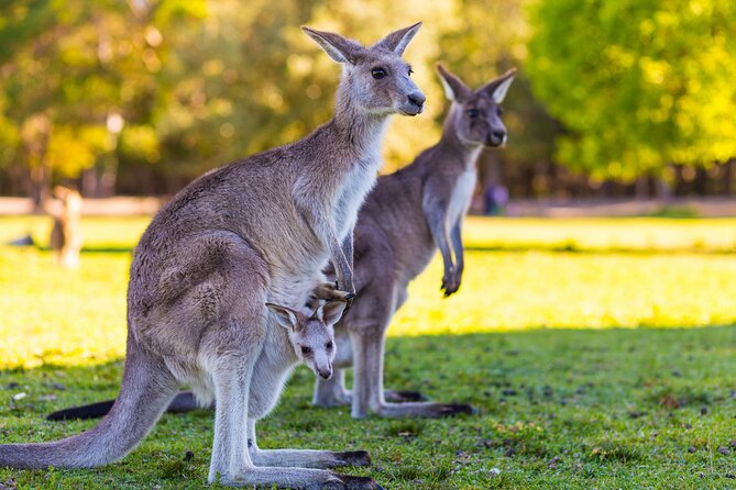 Private Three Day Great Ocean Road Tour - Booking and Cancellation Policy