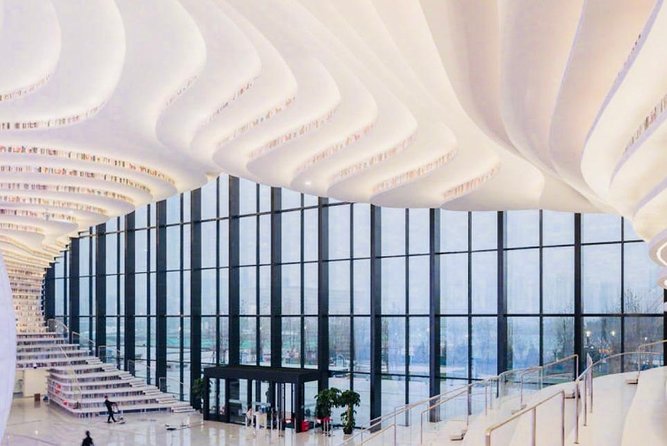 Private Tianjin Shore Excursion to Binhai Library and Shopping - Tour Overview