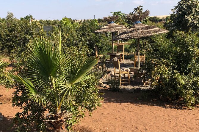 Private Tifnit Dunes Quad Tour With Transfers - The Sum Up