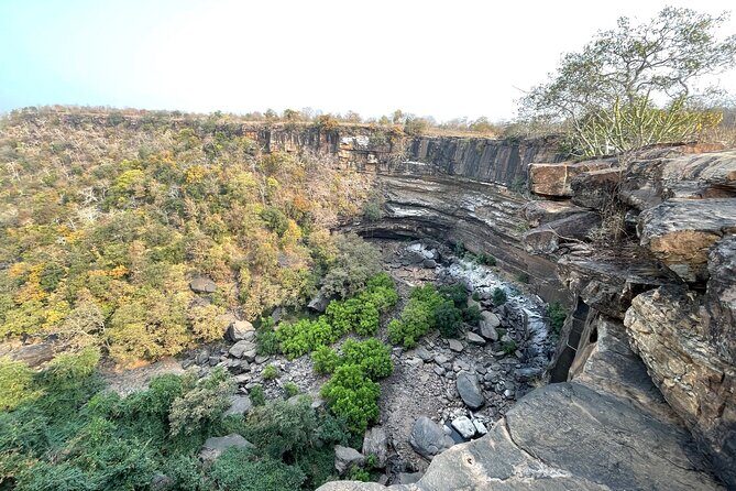 Private tiger watching in Panna National Park of Khajuraho - What to Expect on the Safari
