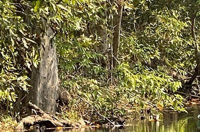 Private tiger watching in Panna National Park of Khajuraho - The Wildlife and Landscape Experience