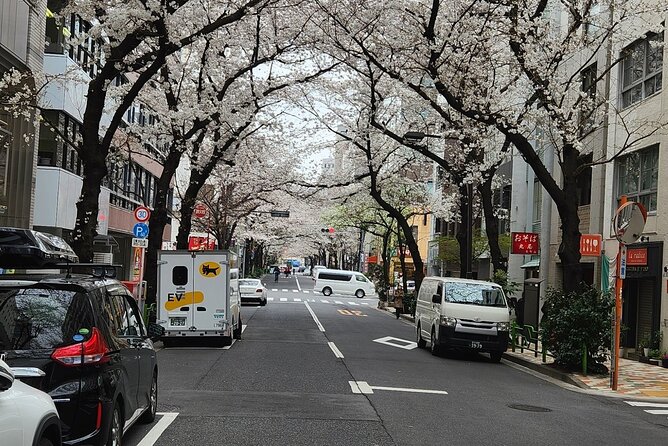 Private Tokyo City Day Tour With English Speaking Driver - The Sum Up