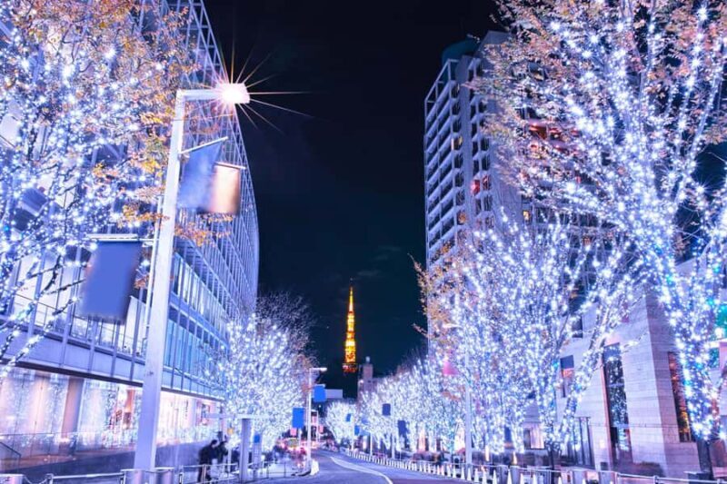 Private Tokyo Holiday Lights & Christmas Market Walk - Final Thoughts
