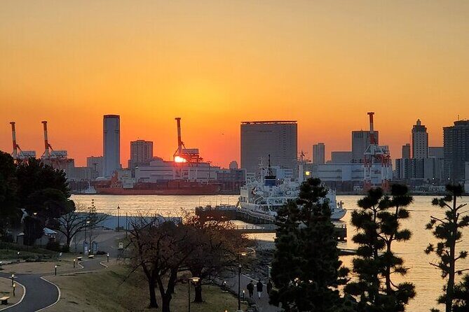 Private Tokyo Night Tour - FAQs