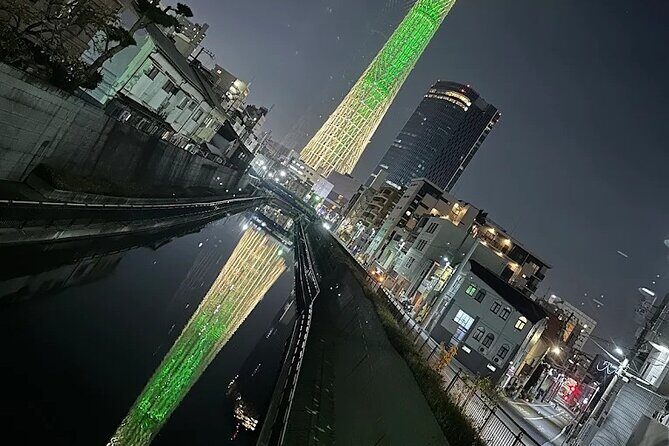 Private Tokyo Night Tour - Cross the Rainbow Bridge