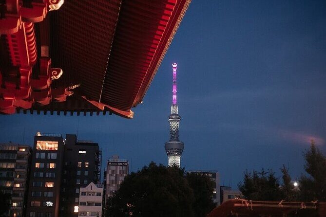 Private Tokyo Night Tour - The Towering Tokyo Skytree