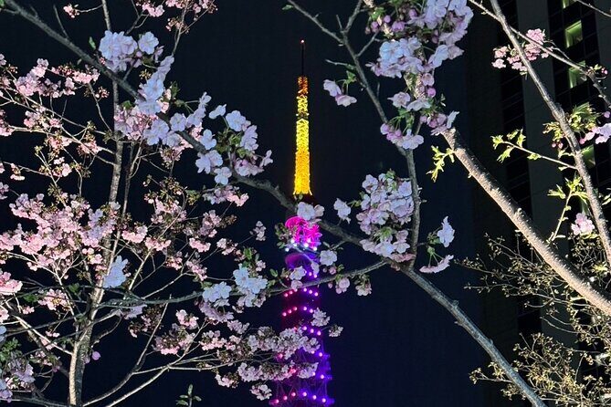 Private Tokyo Night Tour - Good To Know