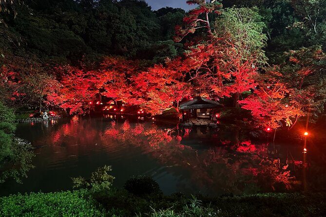 Private Tokyo Night Tour - Why This Tour Might Be Perfect for You