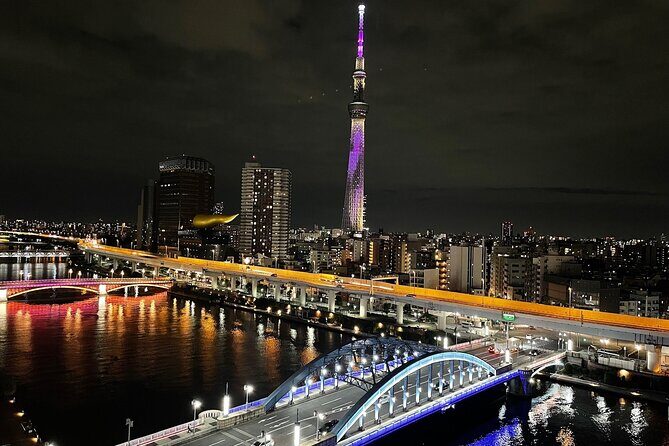 Private Tokyo Night Tour - Who Should Consider Other Options?
