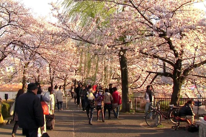 [Private] Tokyo Personalized Tour (Guide Only) - Common Questions