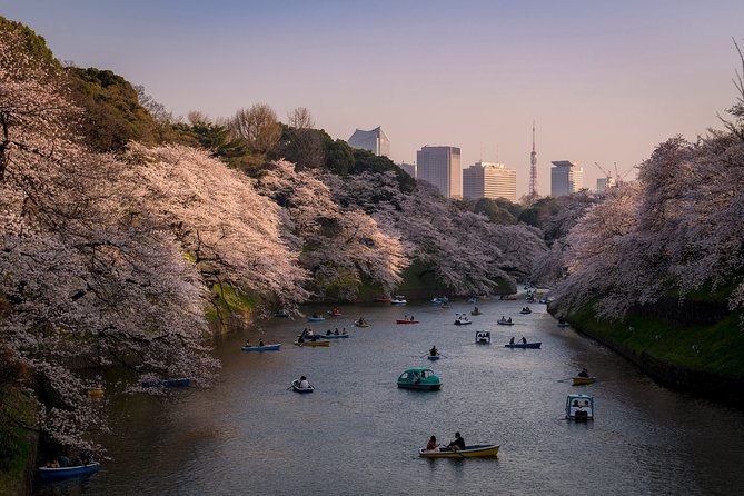 Private Tokyo Photography Walking Tour With a Professional Photographer - Tour Details