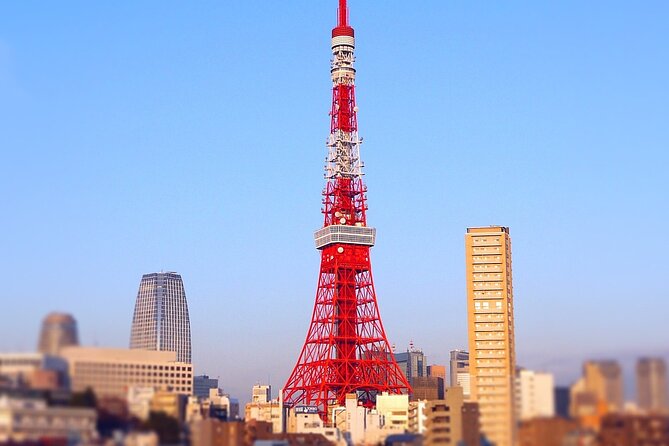 Private Tokyo Tour - up to 9 Travelers - Cancellation Policy