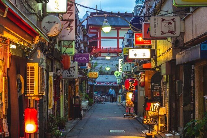 Private Tokyo Tour with English Speaking Guide - Who Should Book This Tour?