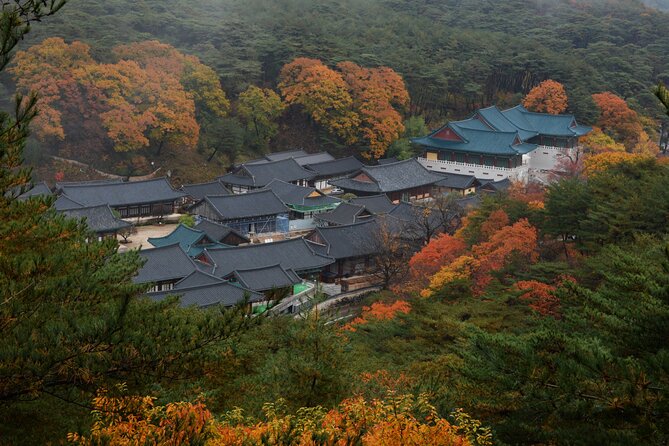 Private Tongdosa Temple Tour Including Gourmet Eonyang Style Bulgogi Lunch - Flexible Cancellation Policy