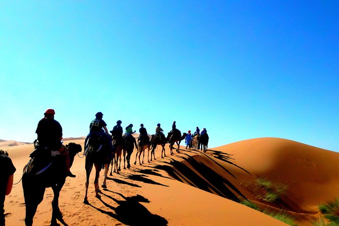 Private Tour 10 Days From Casablanca to Imperial Cities and Sahara Desert - Selecting Date and Travelers