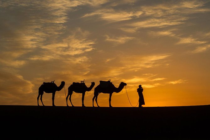 Private Tour 10 Days From Casablanca to Imperial Cities and Sahara Desert - Whats Included