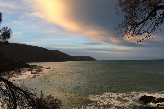 [PRIVATE TOUR] 12 Apostles Great Ocean Road Day Trip - Private Tour Highlights