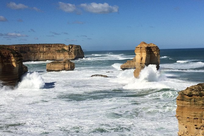 [PRIVATE TOUR] 12 Apostles Great Ocean Road Day Trip - Wildlife Encounter at Kennet River