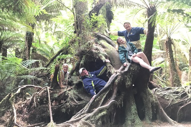 [PRIVATE TOUR] 12 Apostles Great Ocean Road Day Trip - Inclusions for a Hassle-Free Experience