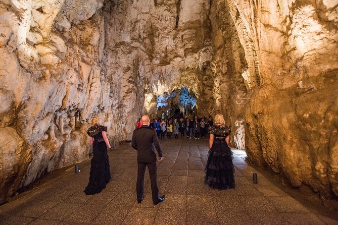 Private Tour [2 Days]: Auckland to Waitomo Caves, Rotorua, Te Puia & Wai-O-Tapu - Directions to the Meeting Point