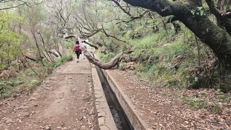 Private Tour : 25 Fontes Levada Hike - Activity Details